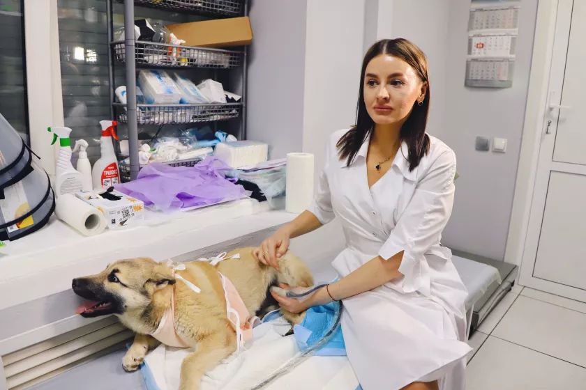 Бийский инженер-механик стала ветеринаром Бийский инженер-механик стала ветеринаром