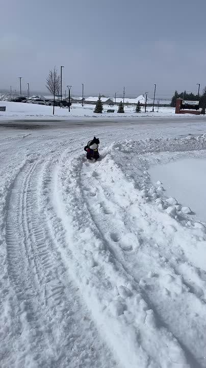 �� �����, ��������. ������ ����, ��������� ����!�