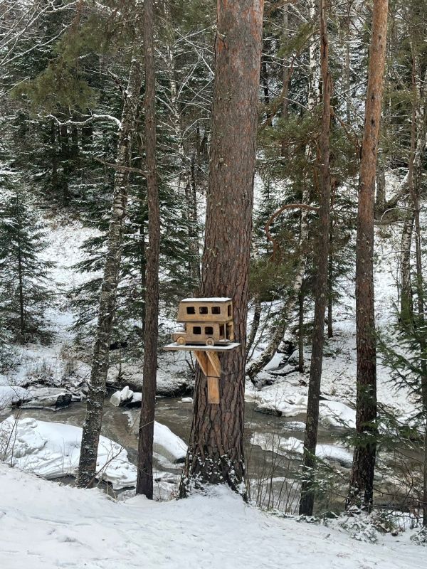 ������ �����-������ ����� ������������ �����������?�