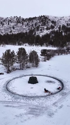 �������� �������� ������ ������ ������������