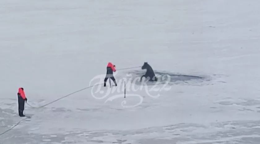 � ������ ������ ������ ������, ������������� ��� �� � ������ ������� ����� (�������, � ������� ���� ���� ������� �� ������� � ������ ���� )