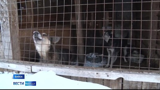 ������� ������ ����� ��������� ��������� ������ ���������� �� ����� �������� �����