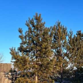 �������� ����� � ��������� ���� ����������� ���������� �� -28 ��������