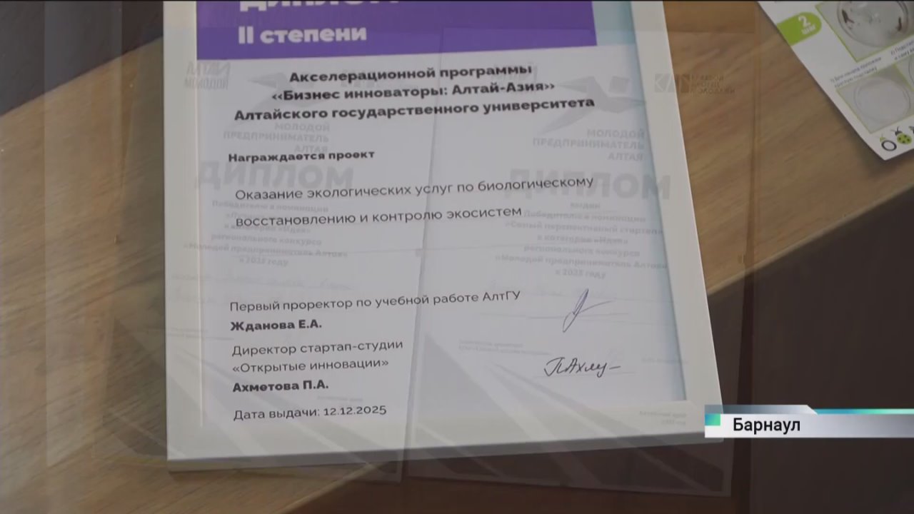 Клопы против жуков: студенты АлтГУ внедряют необычный метод борьбы с одним из самых злостных вредителей