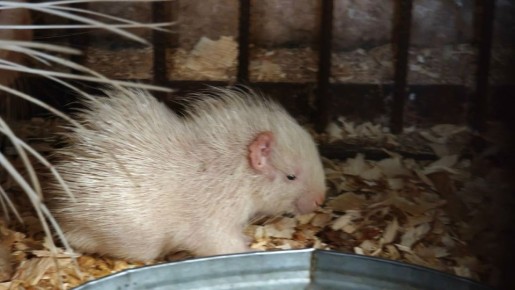 ������ ��������� ���������� ���������� ������������� ��������