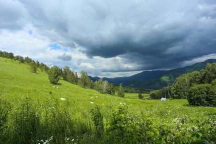 ��� ������ �� ����� ��������� ����������� �������� �� �����