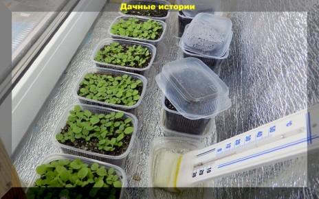 �������� ������ ������� ������: �������� ������