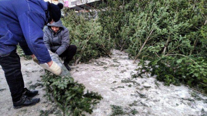 ���� � �������� ����� ���� ����� ����������?