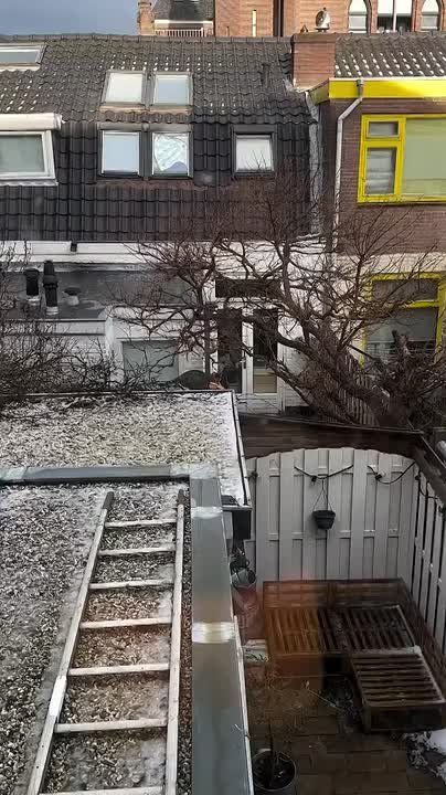 ���� ������ ������ �����������!�