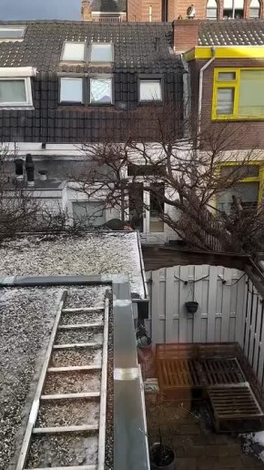 ���� ������ ������ �����������!�