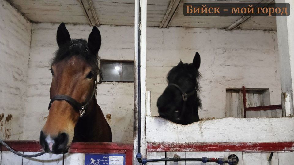 ���� ������� � ������������� ����! ��������� ���� ���� � ��������, ���� ������ ����� �������� �� ����� / ������