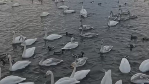 ������!. ��� � ����������� ���������� ��������