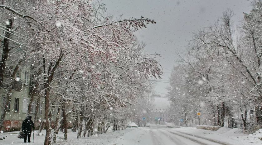 � �������� ������ � ��������� ���� ��������� ������������ ����������