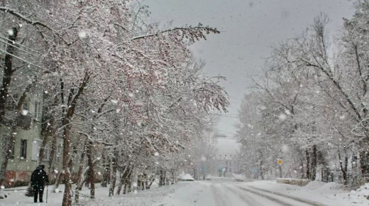 � �������� ������ � ��������� ���� ��������� ������������ ����������