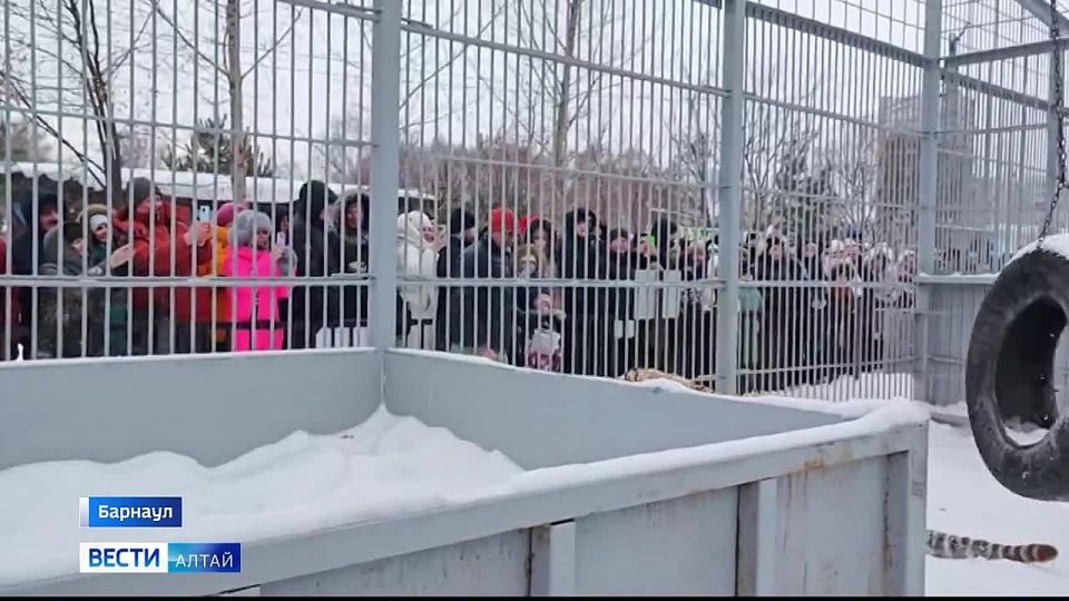 ���������, ������� � ������ ���������� ���������� ������� ������ ������� ��������� �������� ������������ �������