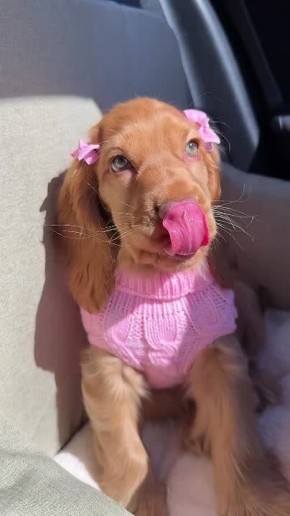 ������ ����, ��������� ����!�