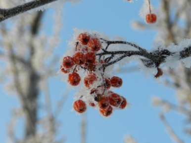 �������� ������ ��������� � ��������� ���� �� ������ ������� ������