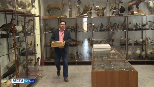 Профессор АлтГУ Роман Яковлев отправится в Северную Африку и на Ближний Восток для изучения бабочек