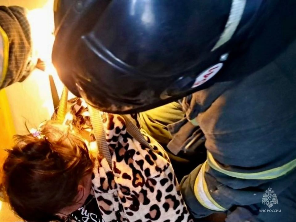 ��������� ������������ ������������ ������� �� ������� � ���������