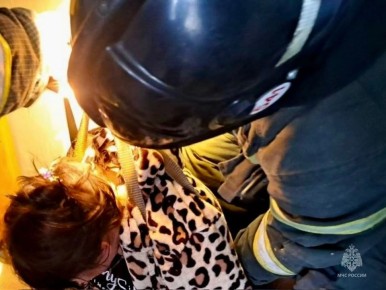 ��������� ������������ ������������ ������� �� ������� � ���������