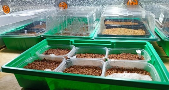 ���������� ������ �� ����������� ������� ��������� ������� � 2026 ����