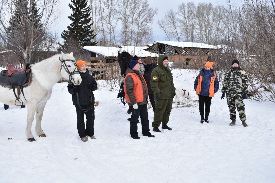 ������ ��������� ����� ���������� ���� ����� �������� �������