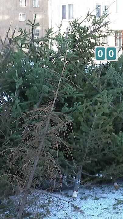 �������������� ����� �� ����� ���������� ���� ������ � ��������