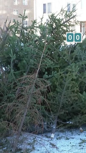 �������������� ����� �� ����� ���������� ���� ������ � ��������