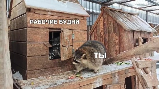 ���� ��� ����� ������� ����� ���������� ���������� � ����� �� ������������� �������� ������ �������� ����������