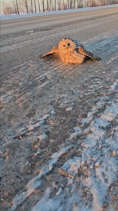 ��� ������������� � ���������� ��������� ������ ���� ������������� ���