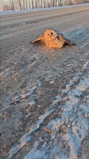 ��� ������������� � ���������� ��������� ������ ���� ������������� ���