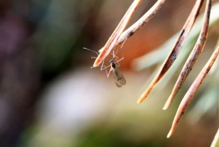 �� ������ ��������� ����� ����������� ������ � �������