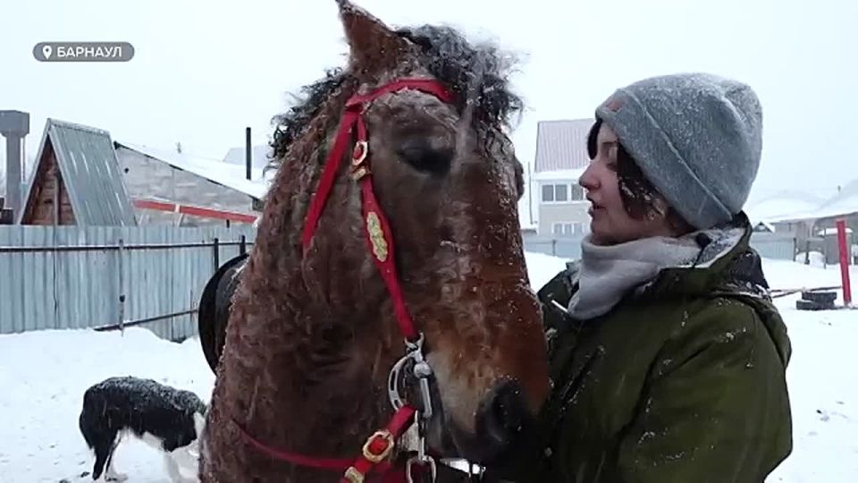 2026 ��� ������ � �� ���������, �� � ���� "��������" ����� �� ������� ���� � �������� �������