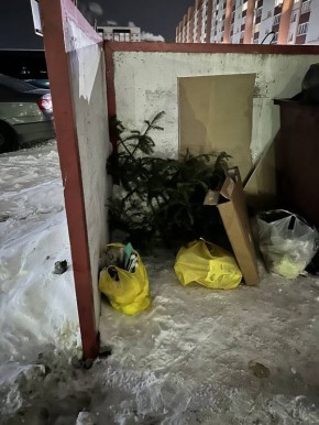 ������ ������������ ��� ������� � ����������� ����, ������� ����������