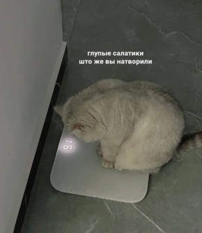 ������ ����, ��������� ����!