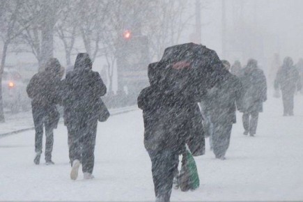 ��������������� �������� ������� ��������� � ��������� ���� 12 � 13 ������