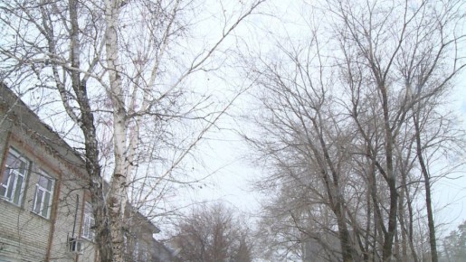 � ��������� ���� �������������� ���������� ��������� ������