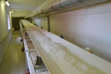 � ��������� ���� ������������ ����� ����������� �������� ������