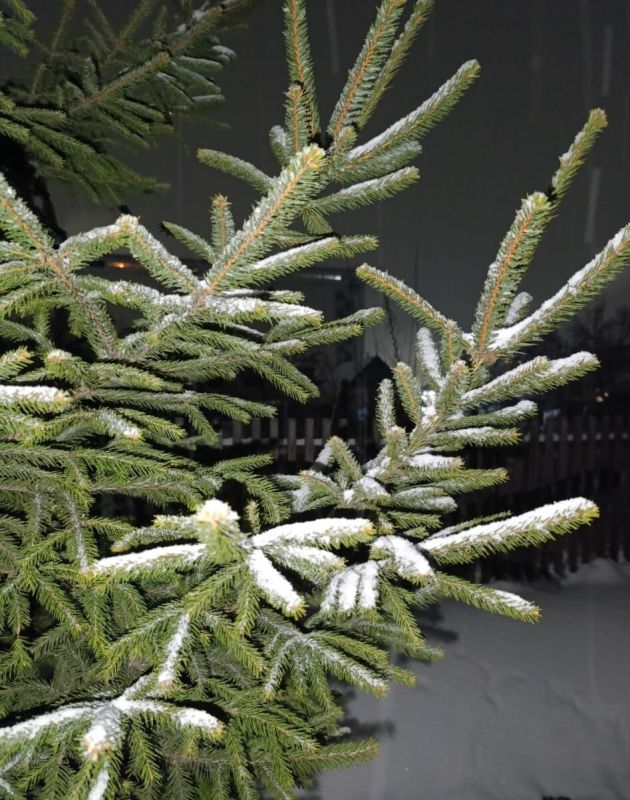 ��������� �������!. ����������� ����������������� ���� �������� ������������ ������������� ����� �������� ����������