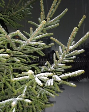 ��������� �������!. ����������� ����������������� ���� �������� ������������ ������������� ����� �������� ����������