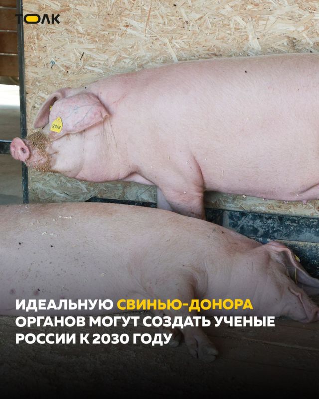 �������� ������ �� ��� ���������� ���� ������ �� ������ ����� 2030 ����