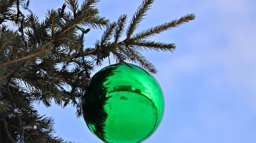 �������� ���������, ��� ��������� ������������� ���� ����� ������ ����