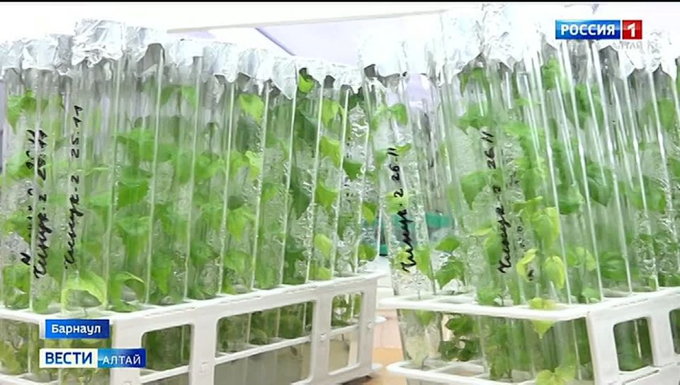 � ��������� ���� ���������� ������� �������� � ������� ������������ ��������