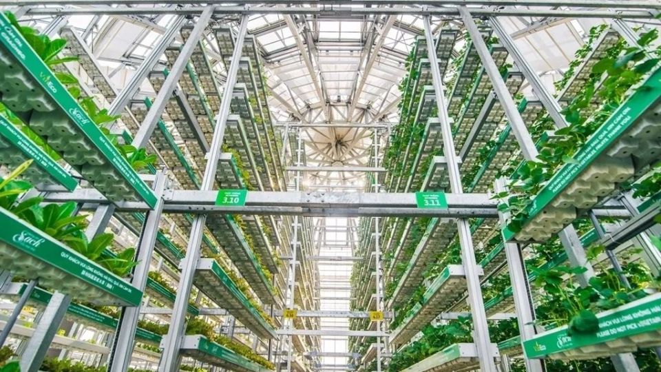 ������������ �����: ����� ������� �������������� ��������������� �����������