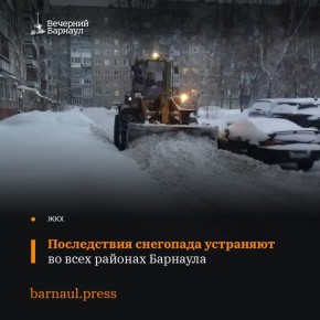 Дворы и внутриквартальные проезды, а также кровли многоквартирных домов очищают от снега во всех районах Барнаула
