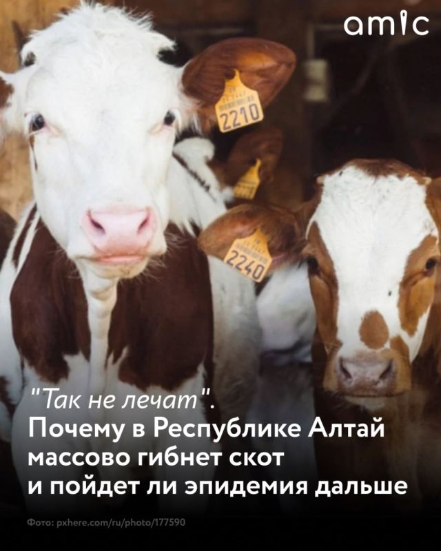 ������, ���� � ������ �������� ���� � ���������� ����� ����� ����� ����� ���������� ������������� � ������������ ������������, ������� �� ������ ��� ��������, �� � ��� �����