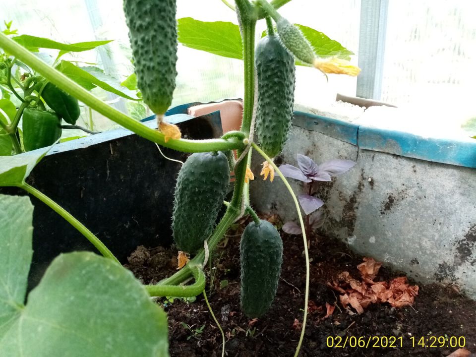 ����������� ������ ����: ��������� ����� ��� ������ � 2026 ����