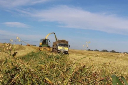 ������� ������������� ������ � ������� ���� ������������� � ����������������� ��������� ��������� ������������ ������