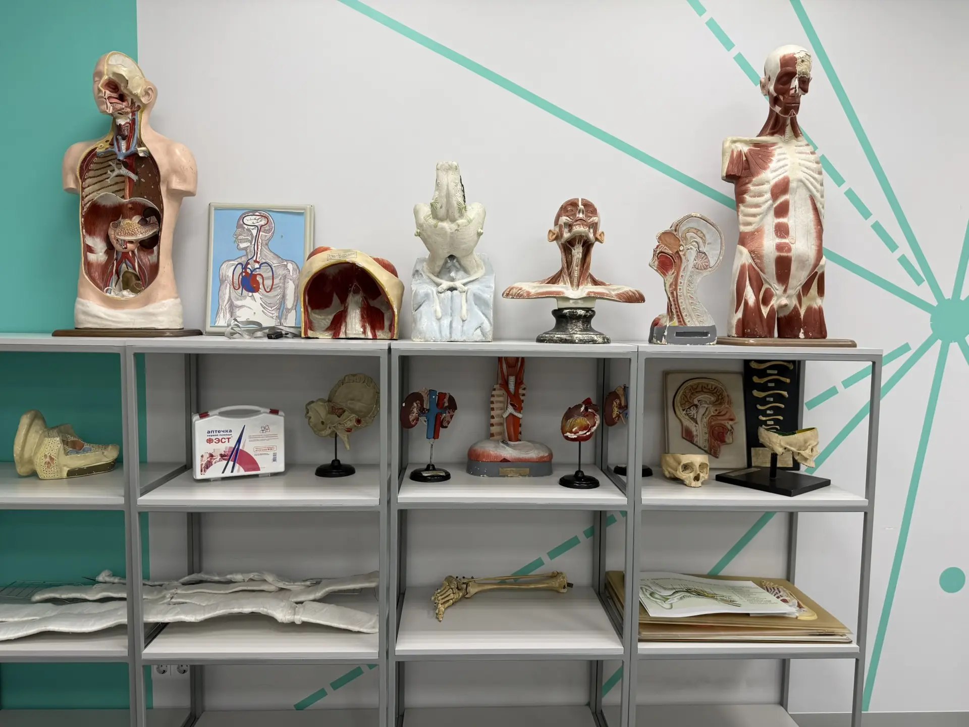 Алтайский край хочет выйти в лидеры страны по просвещению Алтайский край хочет выйти в лидеры страны по просвещению