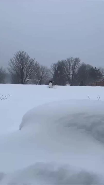 ������ ����, ��������� ����!�